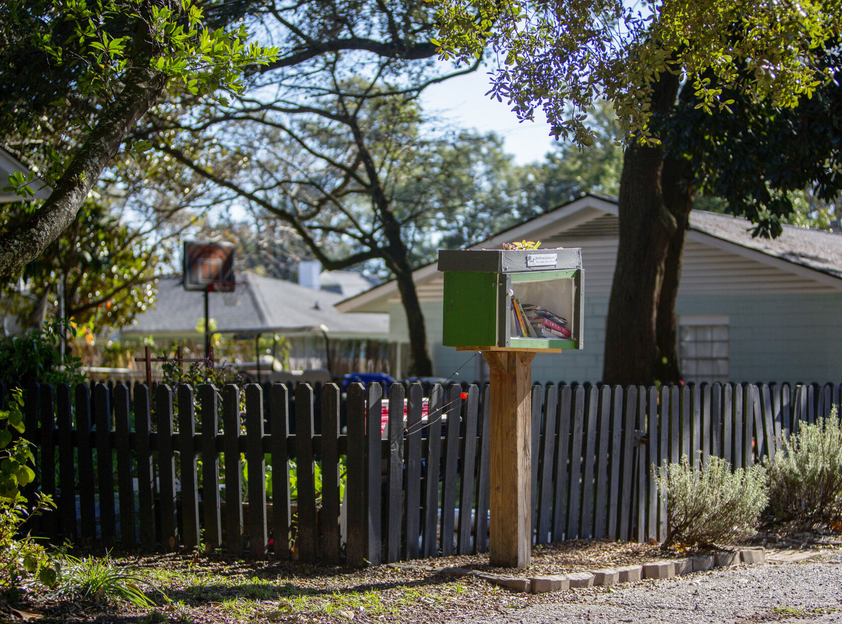 littlefreelibrary_4.jpg
